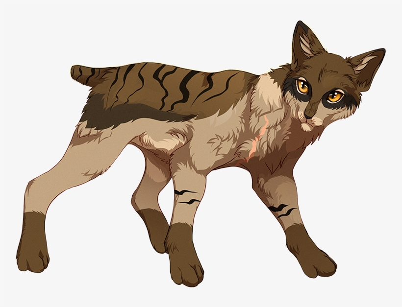 Stumpytail - Warrior Cats With Short Tails, transparent png