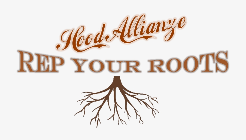 You're From Where - Tree Roots, transparent png