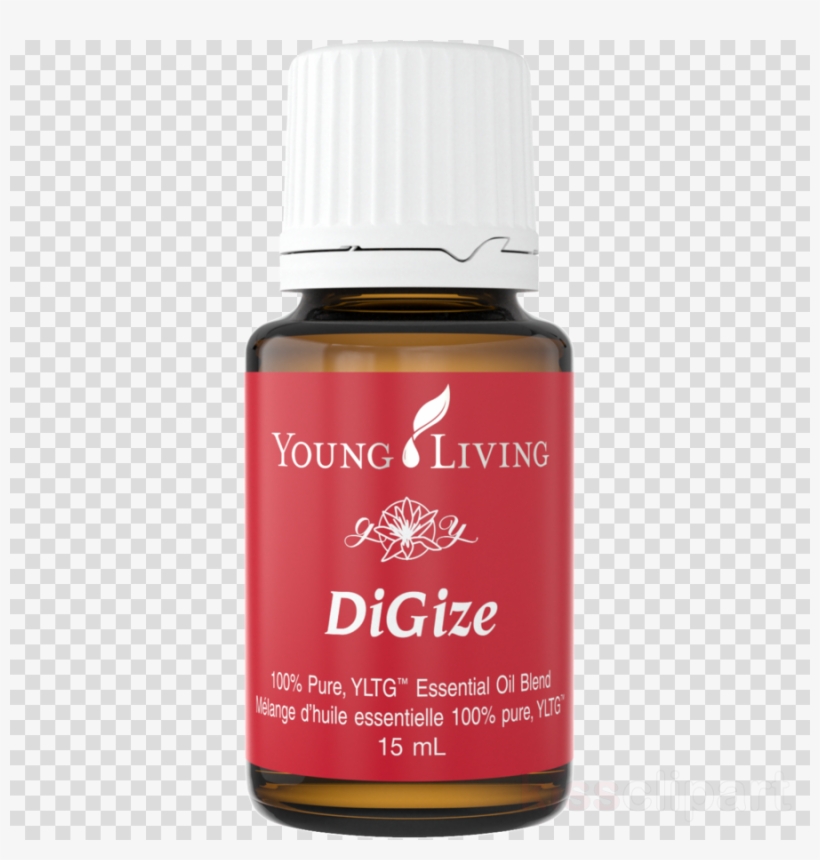 Download Frankincense Young Living Png Clipart Young - Young Living Essential Oil Blend Abundance, 15ml, transparent png