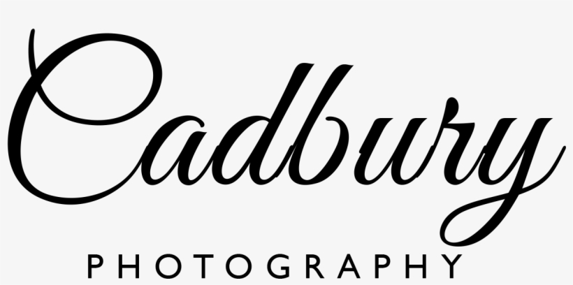 Cadbury Photography - Have Yourself A Merry Little Christmas Novelty Sign, transparent png