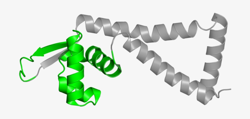 Auger, transparent png