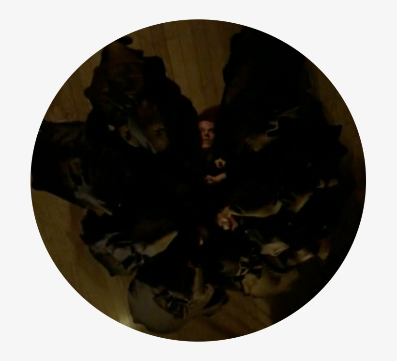 After The Opening Credits American Horror Story - Circle, transparent png