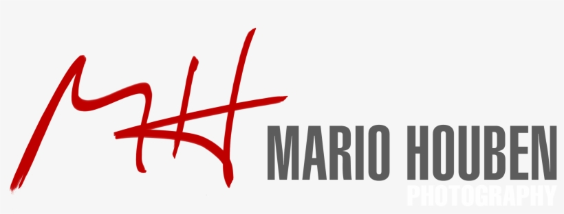 Mario Houben - Management Savvy: How To Get It, How To Use, transparent png