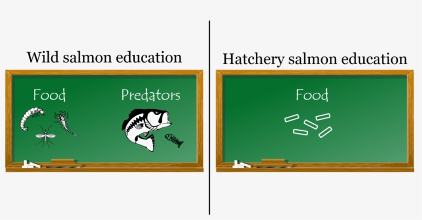 Education Pic - Education, transparent png