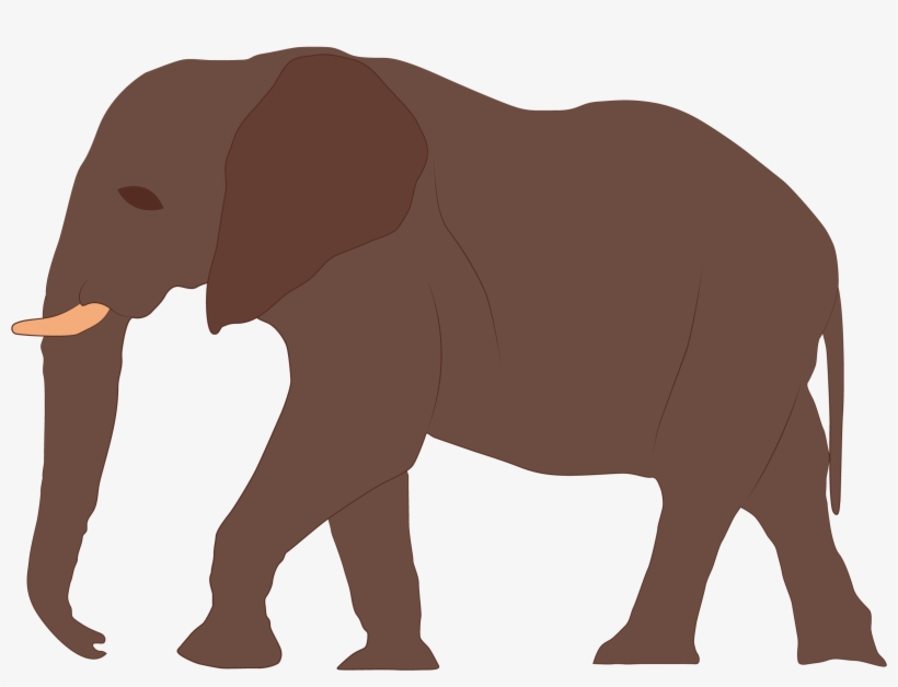 7 Ft - Indian Elephant, transparent png