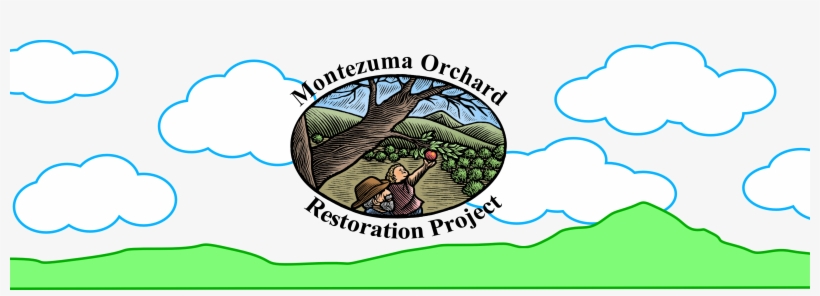 Logo, transparent png