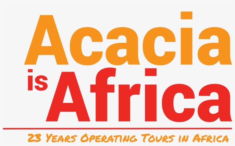 Africa Bigger Than The Us, transparent png