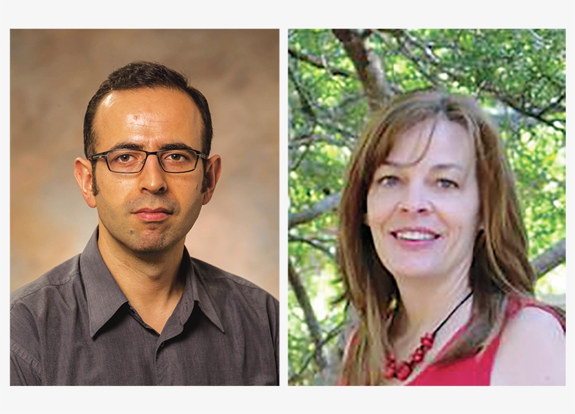 Texas A&m Professors Participate In 2018 Jnf Summer, transparent png