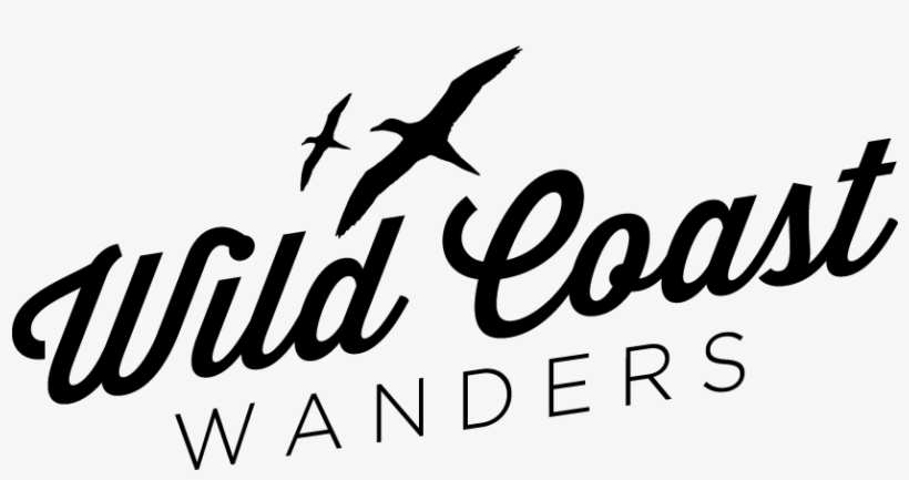 Wild Coast Wanders - My Book Club Only Reads Wine Labels Shower Curtain, transparent png