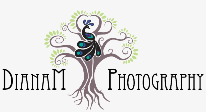 Dianam Photography - Custom Salutations Stamp Scallopthankyou - Three Designing, transparent png