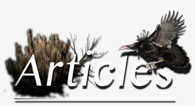 Web Articles Page, transparent png