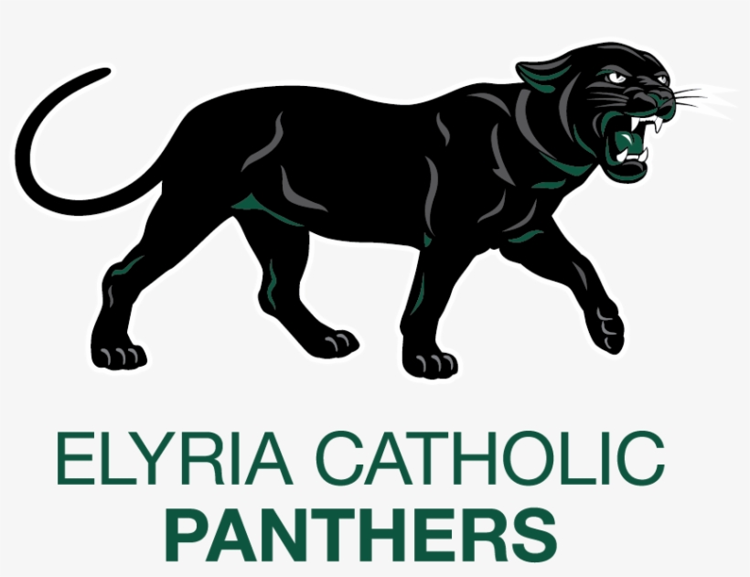 Panthers On The Prowl Join Us For Our First Home Game, transparent png