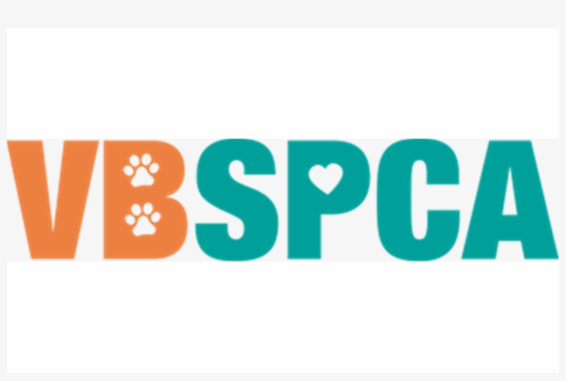 The Rainy Day Didn't Scare Anyone With Over 50 Pets - Paw, transparent png