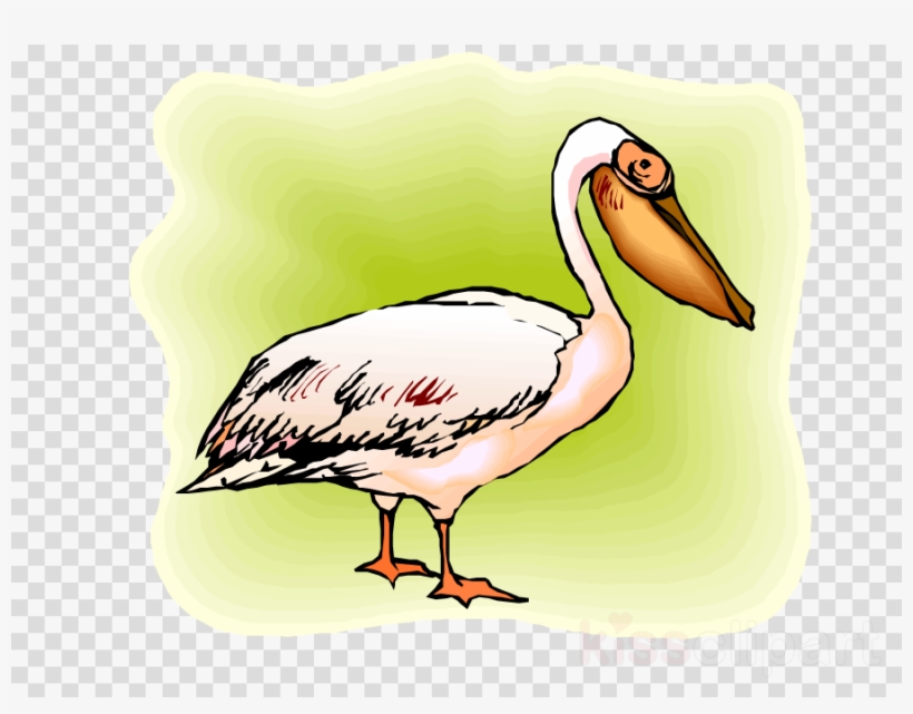 Beak Clipart Stork Water Bird - Black & White Chequered Flag Self Adhesive Decorative, transparent png