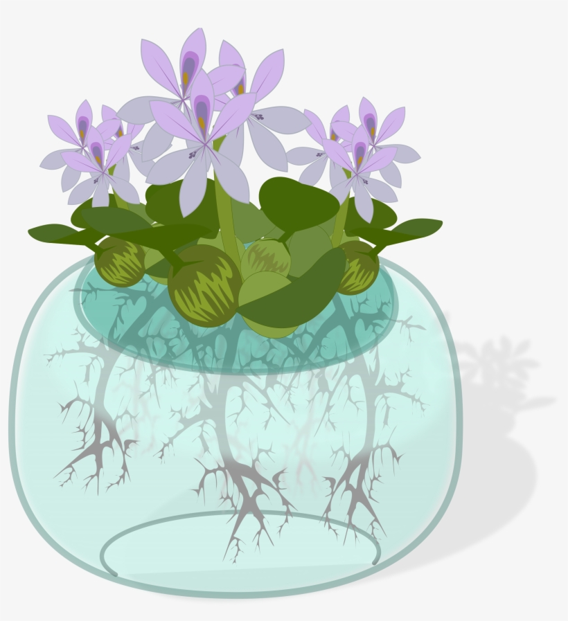 Water Plant Big Image Png - Water Plant Clip Art, transparent png