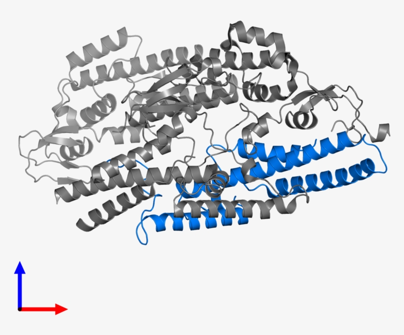 <div Class='caption-body'>pdb Entry 2q9q Contains 1 - Saw Chain, transparent png