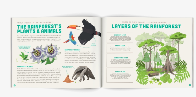 Save The Rainforest Conservation - Tropical Rainforest, transparent png