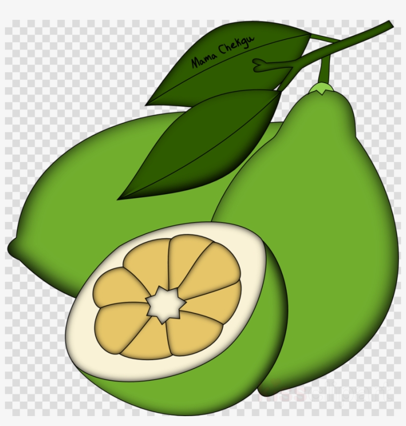 Leaf Clipart Pear Squash Avocado, transparent png