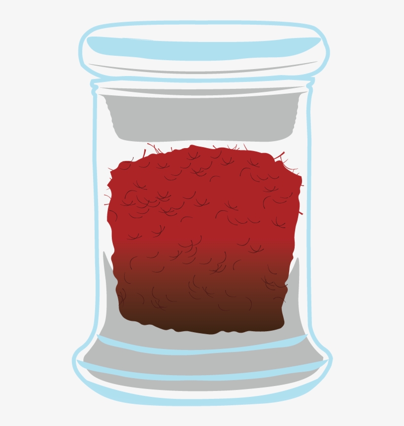 Venetian-style Glass Vase - Illustration, transparent png