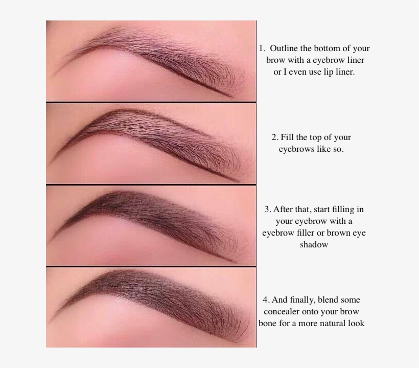 Outline The Bottom Of Your Brow With An Eyebrow Liner - Shade In Eyebrows With Pencil, transparent png