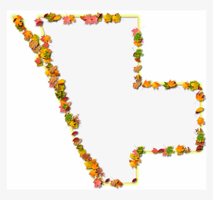 A Yellow And Orange Outline Map Of Sarasota With Fall - Floral Design, transparent png