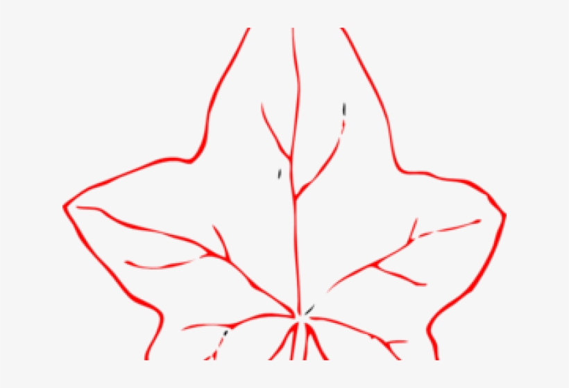 Autumn Leaf Outline - Autumn Leaf Image Clip Art Black And White, transparent png