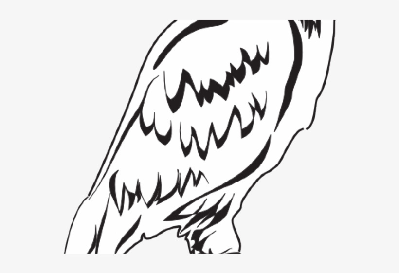 Eagle Outline Cliparts - Clip Art, transparent png