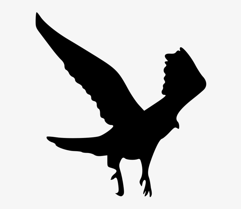The Outline Of The Eagle - Raven Bird Silhouette Png, transparent png