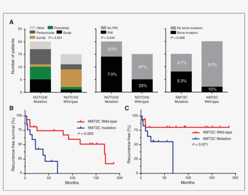 Mutation Status And Clinical Parameters - Mutation, transparent png