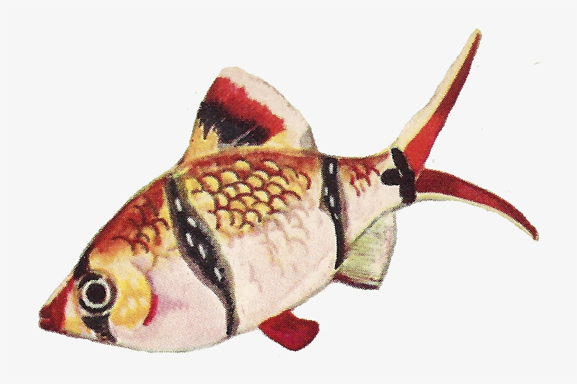 Another Vintage Fish Png Image For You From Leaping - Fish Vintage Png, transparent png