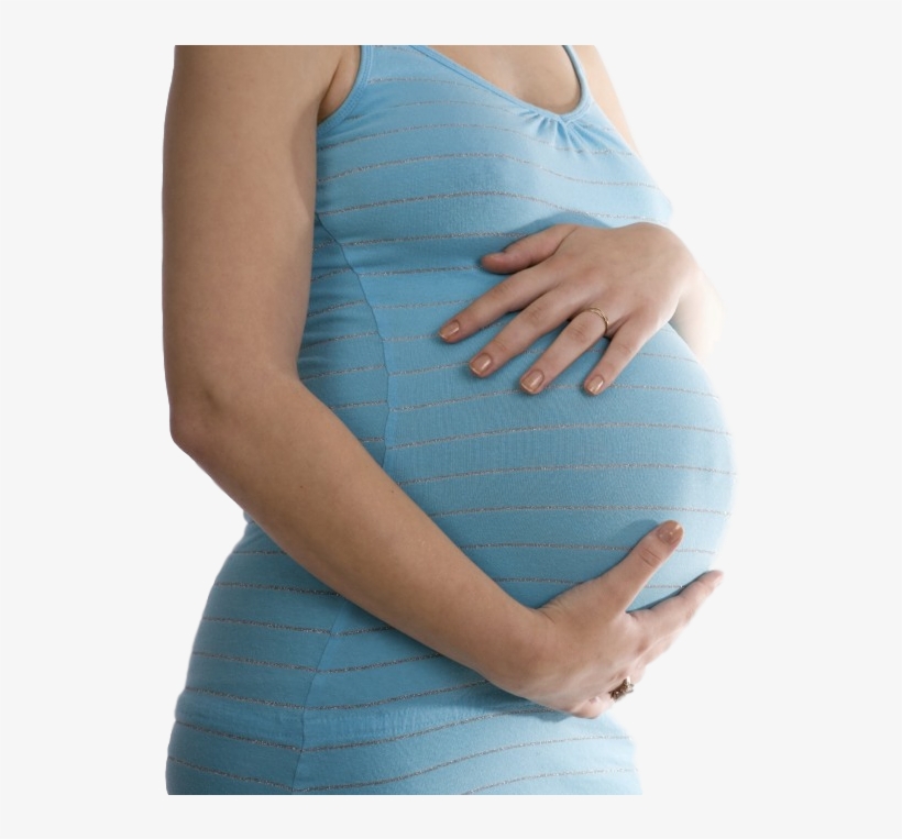 Pocket Guide For Student Midwives, transparent png