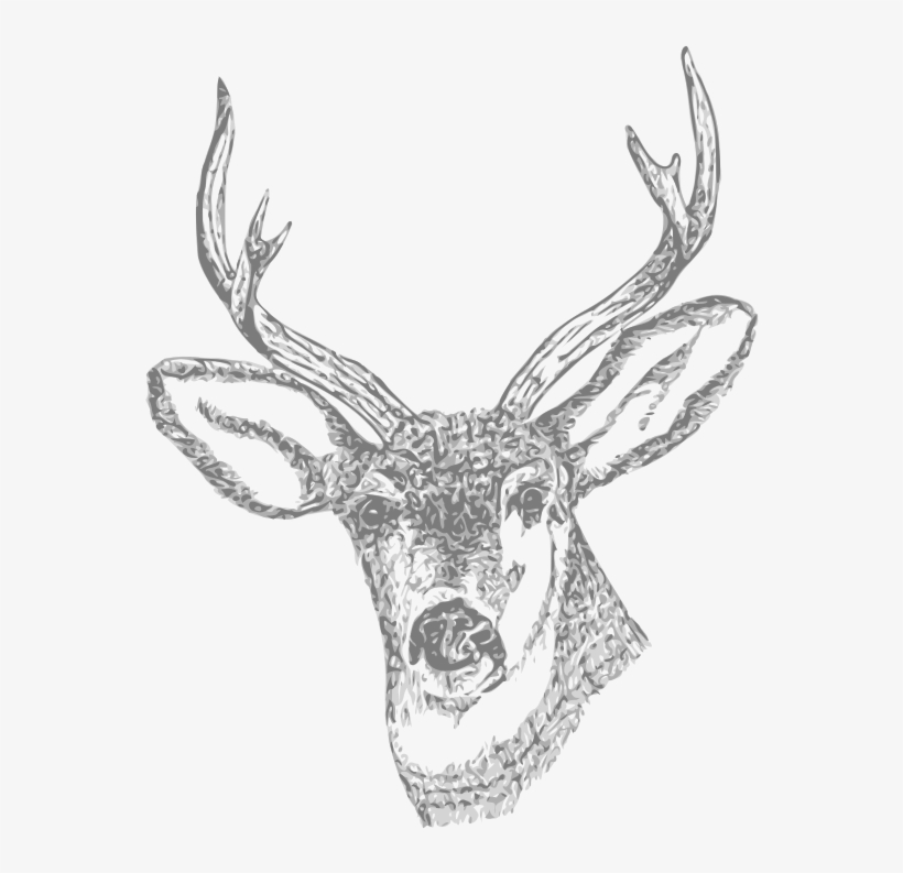 Antler Clipart Transparent Tumblr - Deer Head Tumblr Png, transparent png