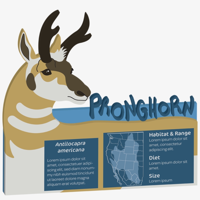Pronghorn Final 3d 72, transparent png