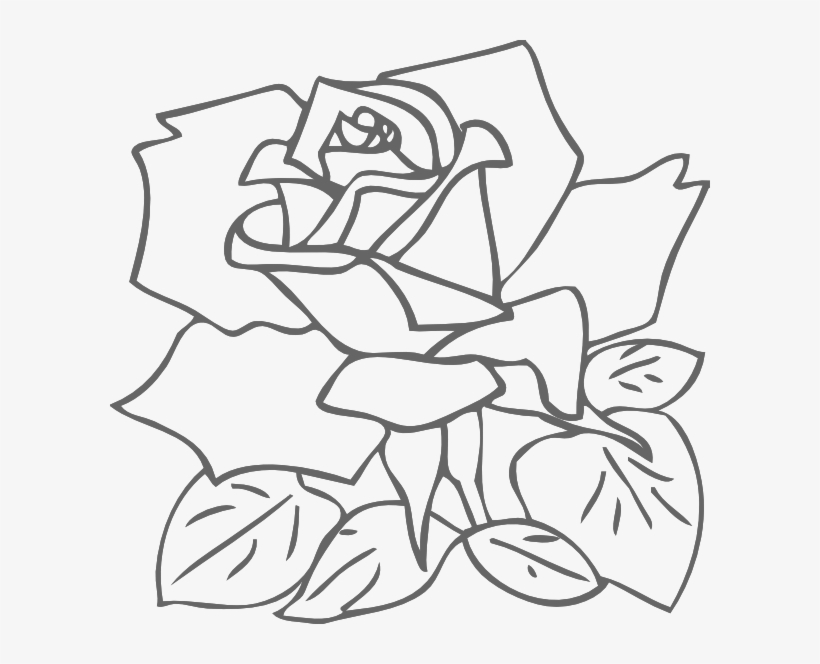 How To Set Use Outline Rose Clipart, transparent png
