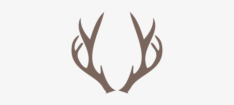 Deer Horn Png - Png Deer Antlers Png, transparent png