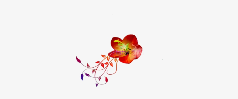 Hawaiian Flowers Png Images Vectors And Psd Files Free - Hawaii, transparent png