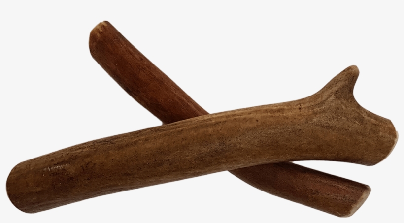 Antler, transparent png