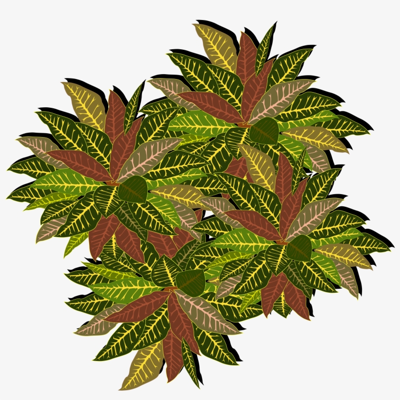 This Free Icons Png Design Of Tree-11a, transparent png