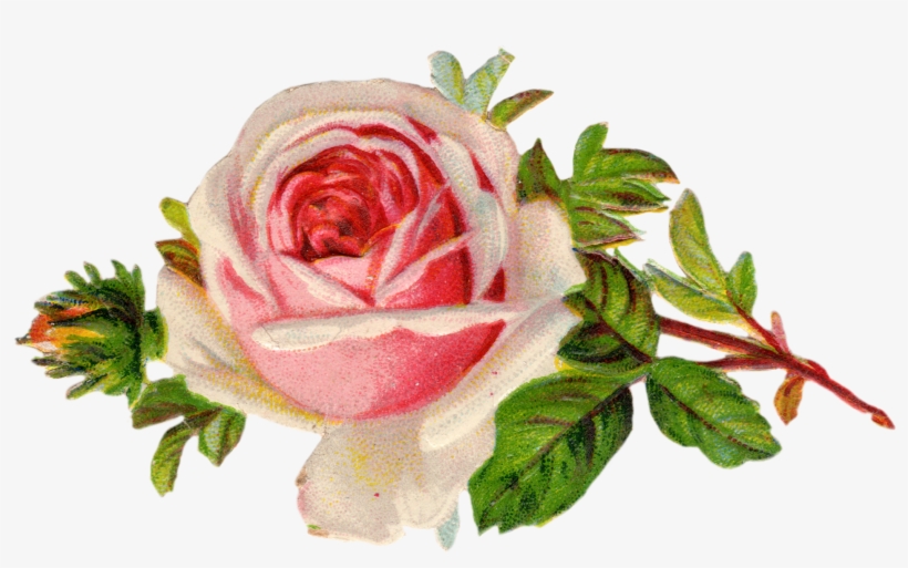 Free Vintage Rose Clip Art Free Pretty Things For You - Vintage Rose Clip Art, transparent png