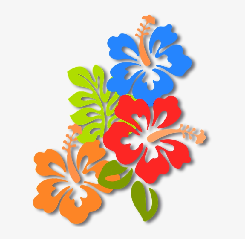 In That Case, It Was An Operator Of The Site - Hawaii, transparent png