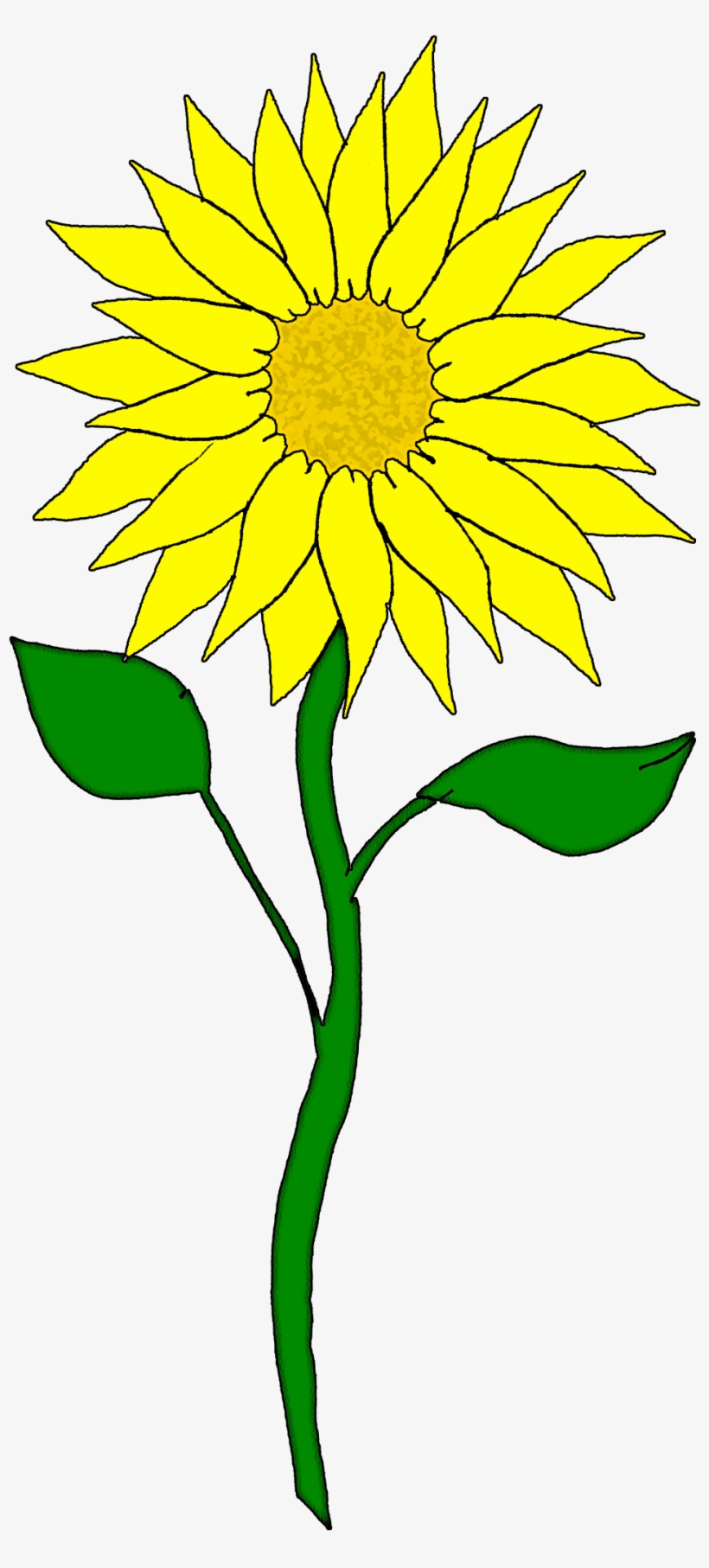 Hawaiian Flower Clip Art Clipart - Sunflower Clipart, transparent png