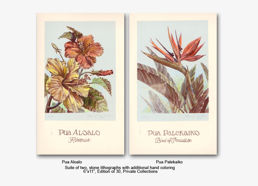 Suite Of Hawaiian Flowers - Hawaii, transparent png