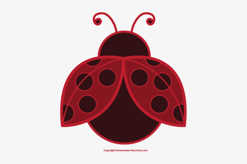 Ladybug Photos - Clip Art Lady Bug, transparent png
