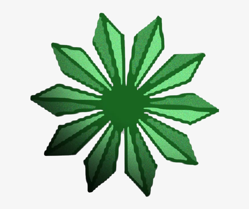 Tree Plan - Vector Graphics, transparent png