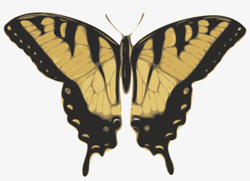 Free Vector Butterfly Top View Clip Art - Tiger Swallowtail Butterfly Png, transparent png