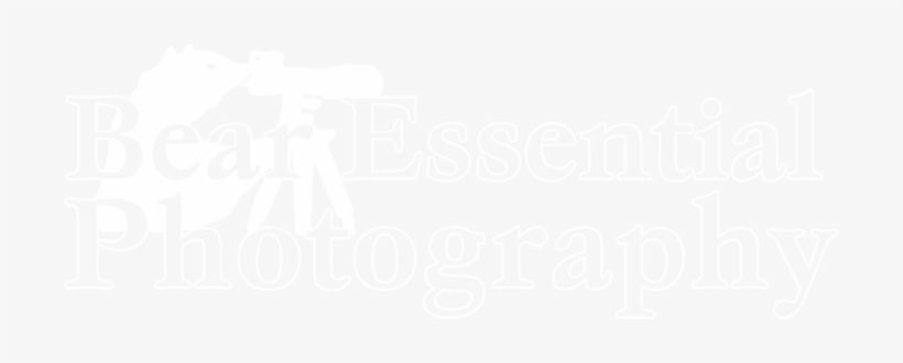 Bear Essential Photography - Logo Png Photographer Bear, transparent png
