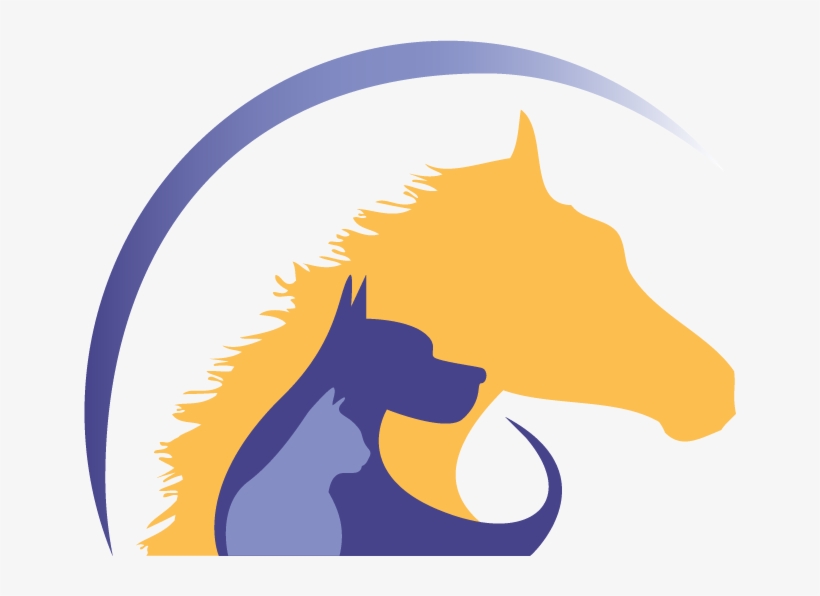 Love And Excellent Veterinary Care For Your Pets 24 - Love Vet, transparent png