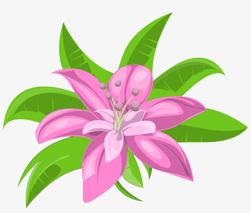 Hawaiian Flowers Png, transparent png