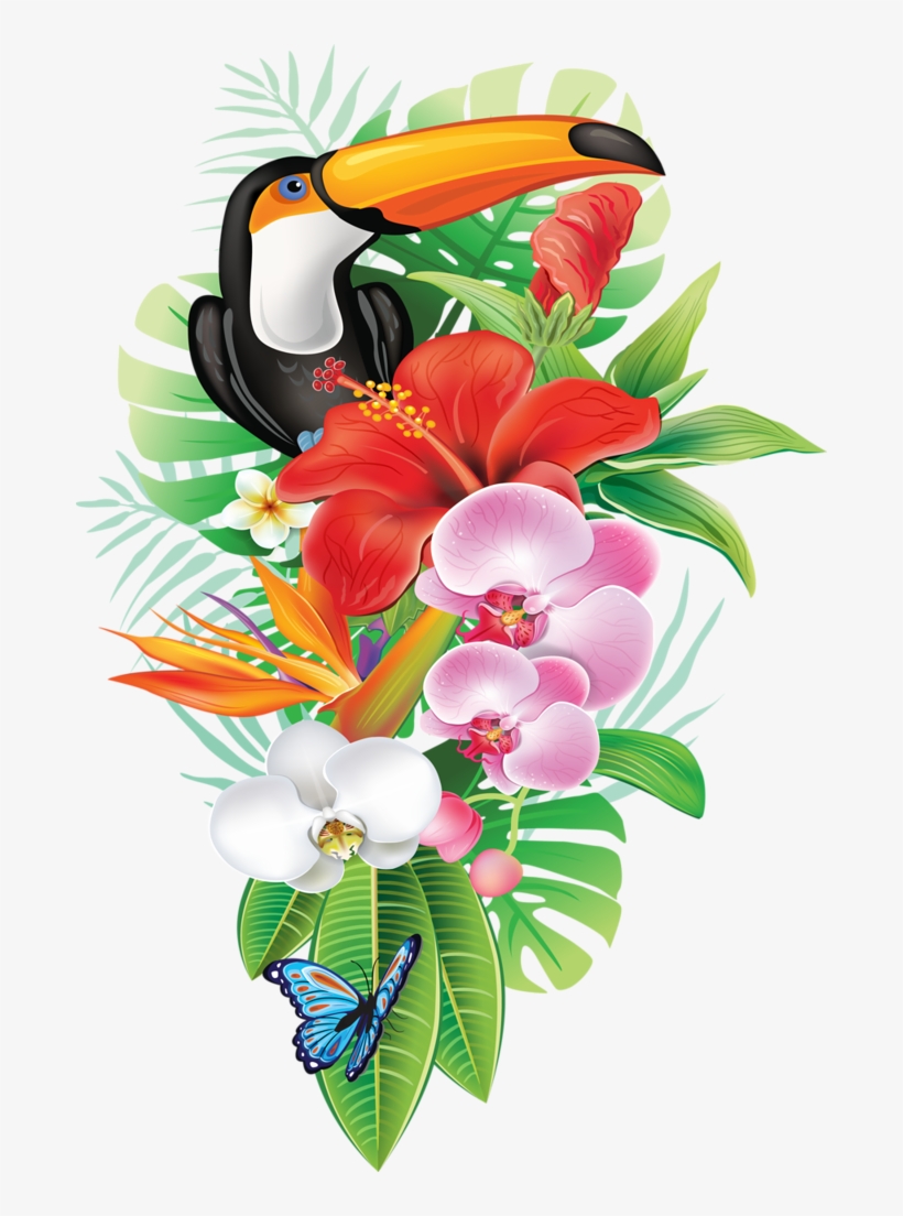 Jpg Transparent Download A D F Orig Png Pinterest - Tropical Png, transparent png