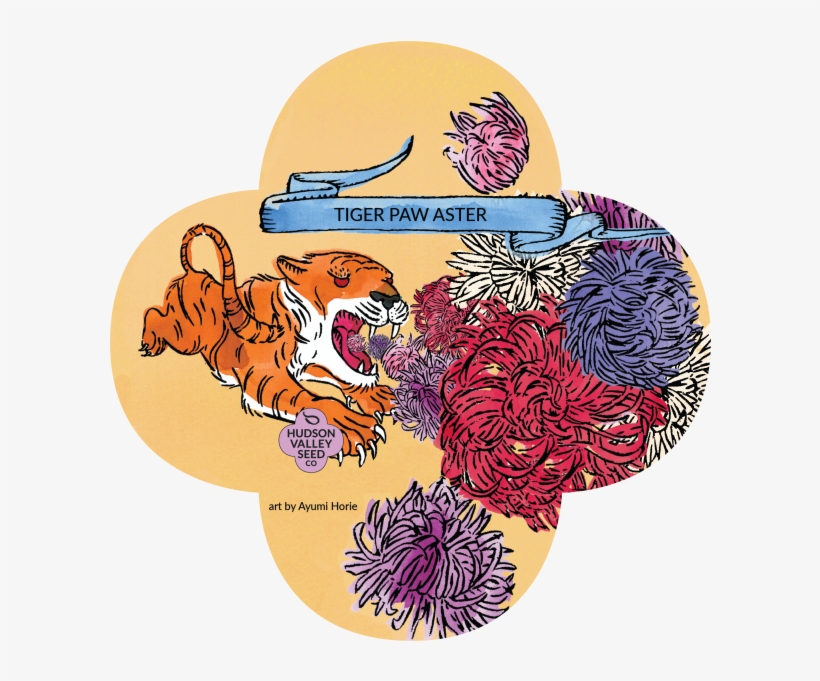 Tiger, transparent png